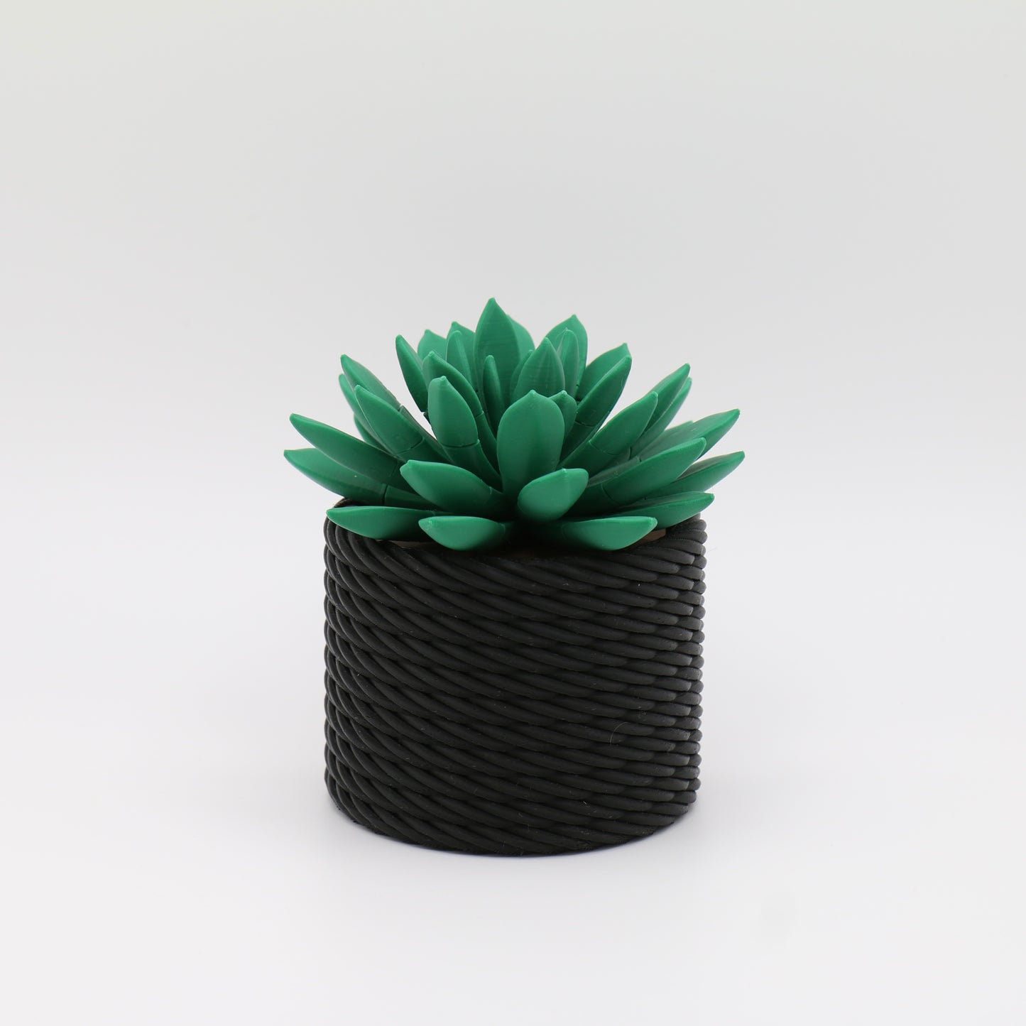 Push Pin Sukkulente Pflanze - Büro Geschenk - Büro Deko - Tisch Schreibtisch Deko