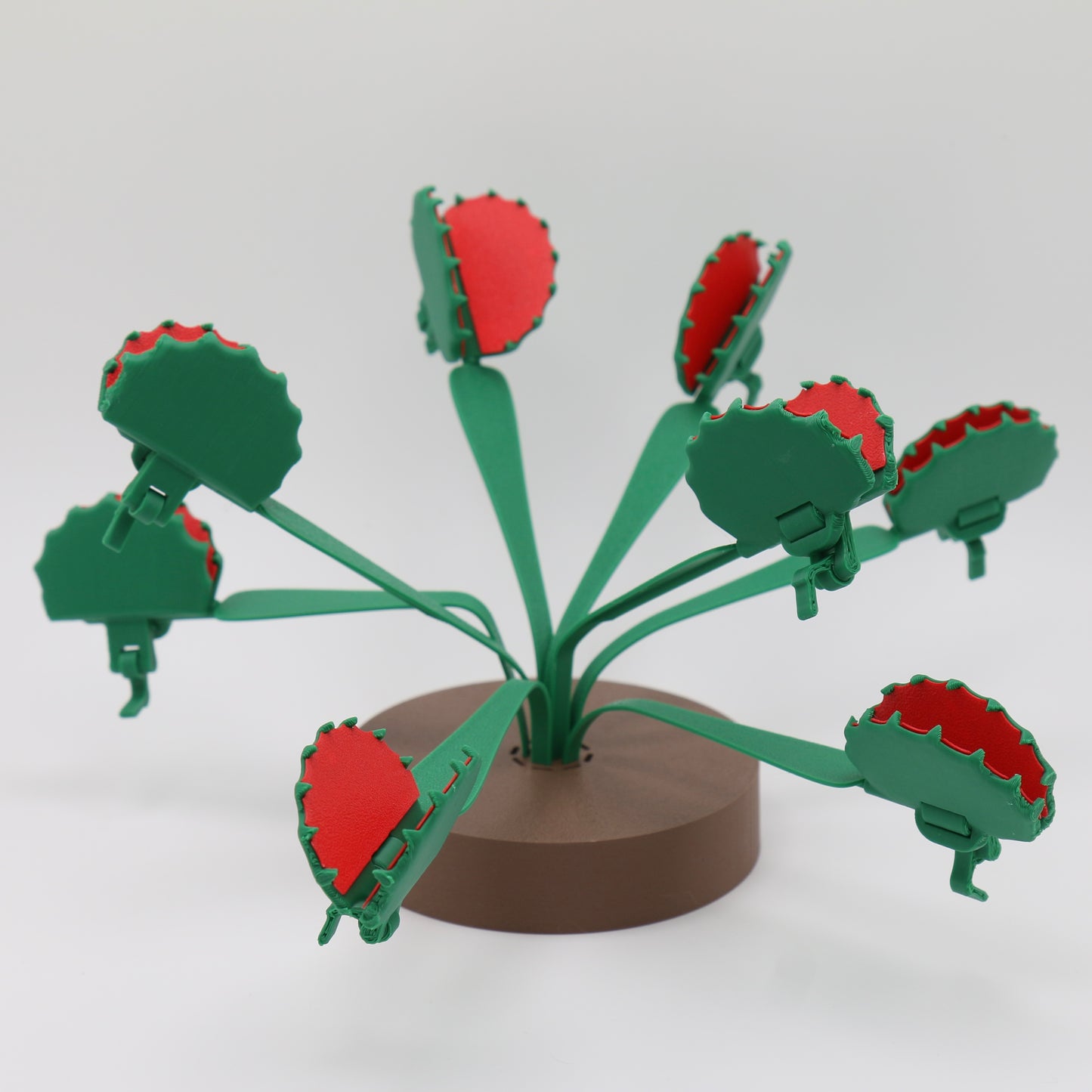 Venusfliegenfalle mit Fangblatt welches als Tüten Clip verwendet werden kann - Deko - Zimmerpflanze - Pflanze - Venus SnackTrap