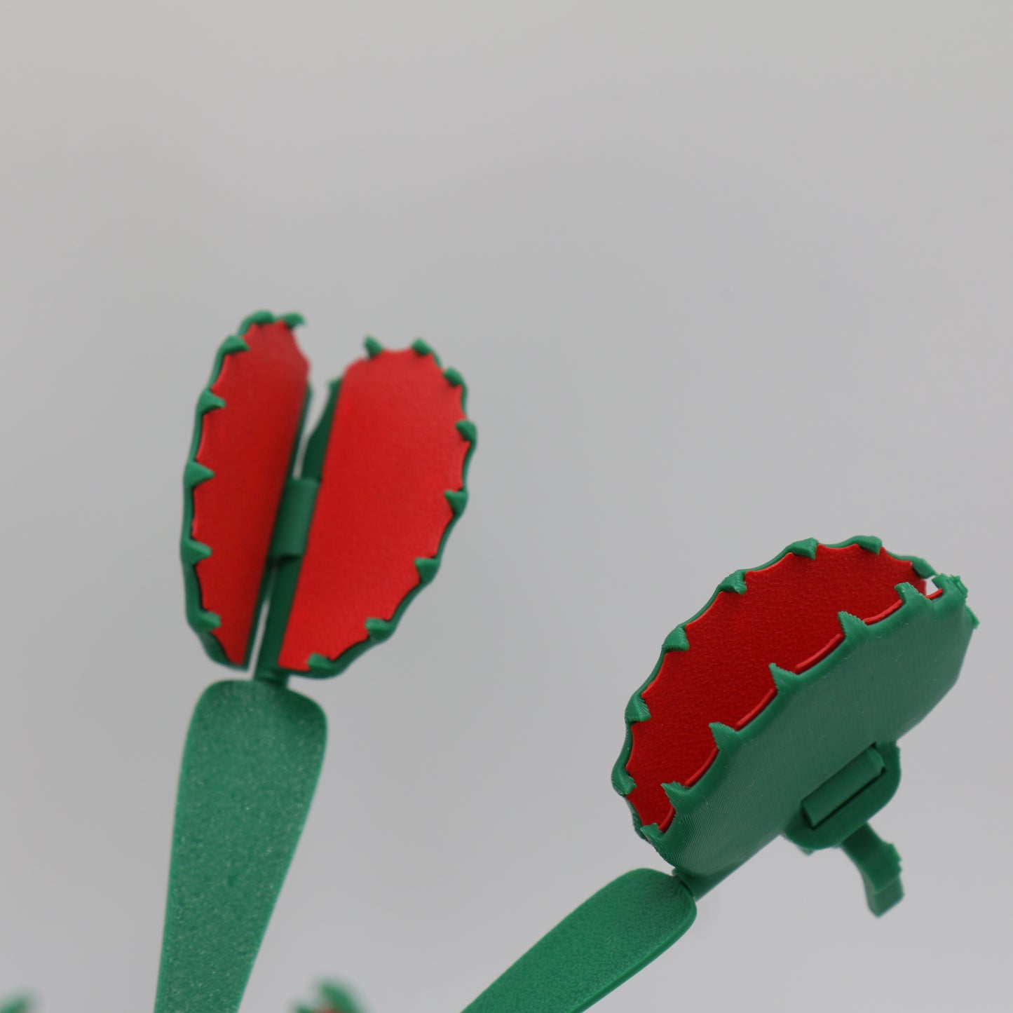 Venusfliegenfalle mit Fangblatt welches als Tüten Clip verwendet werden kann - Deko - Zimmerpflanze - Pflanze - Venus SnackTrap