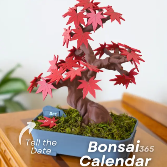 Bonsai 365 Baum-Kalender - Japanischer Ahorn-Kalender für Ihren Schreibtisch