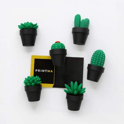 Magnetische Mini-Kakteen – Pflanzenmagnete, individuelle Farbwahl, Deko für Kühlschrank & Büro, perfektes Geschenk, 3D-Druck