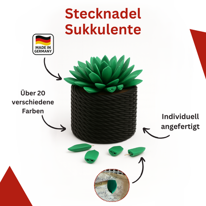 Push Pin Sukkulente Pflanze - Büro Geschenk - Büro Deko - Tisch Schreibtisch Deko