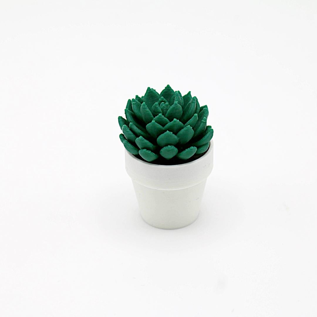 Magnetische Mini-Kakteen – Pflanzenmagnete, individuelle Farbwahl, Deko für Kühlschrank & Büro, perfektes Geschenk, 3D-Druck