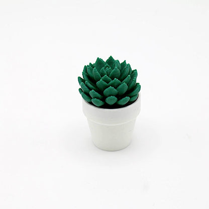 Magnetische Mini-Kakteen – Pflanzenmagnete, individuelle Farbwahl, Deko für Kühlschrank & Büro, perfektes Geschenk, 3D-Druck