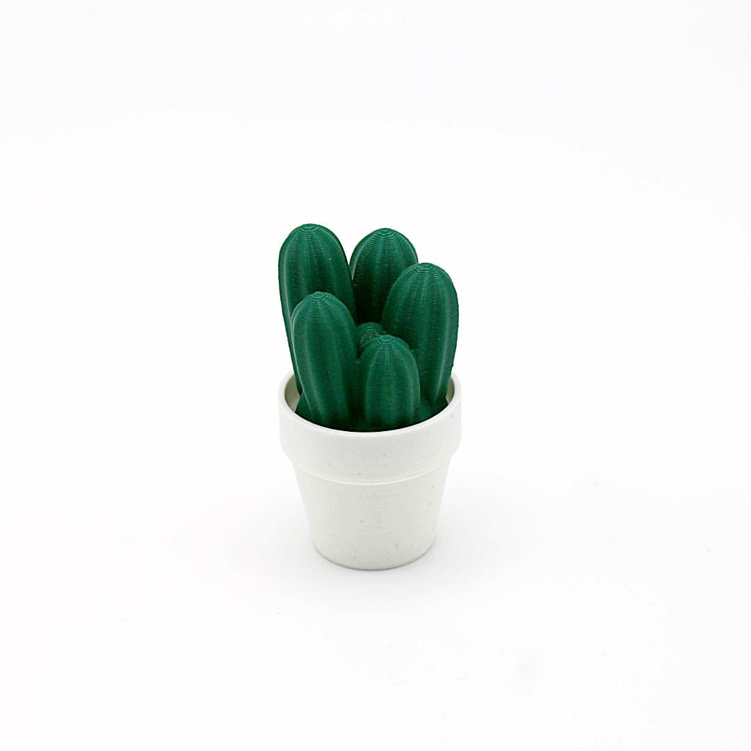 Magnetische Mini-Kakteen – Pflanzenmagnete, individuelle Farbwahl, Deko für Kühlschrank & Büro, perfektes Geschenk, 3D-Druck