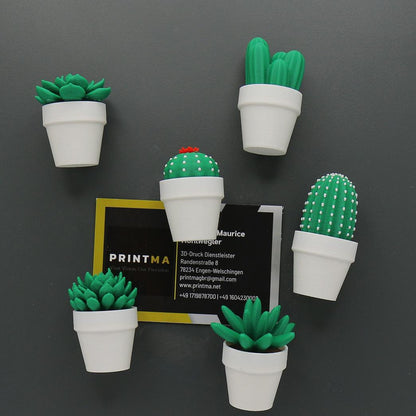 Magnetische Mini-Kakteen – Pflanzenmagnete, individuelle Farbwahl, Deko für Kühlschrank & Büro, perfektes Geschenk, 3D-Druck