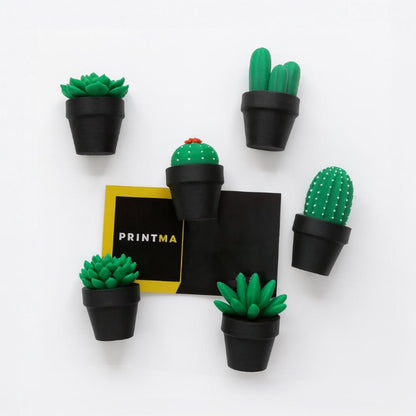 Magnetische Mini-Kakteen – Pflanzenmagnete, individuelle Farbwahl, Deko für Kühlschrank & Büro, perfektes Geschenk, 3D-Druck