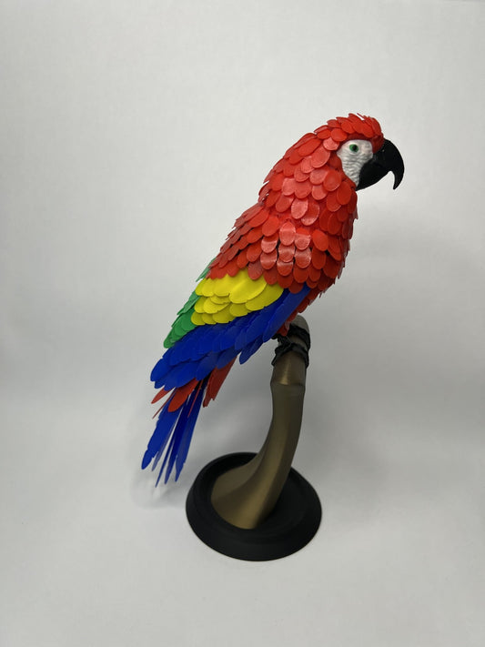 Papagei - PrintMa