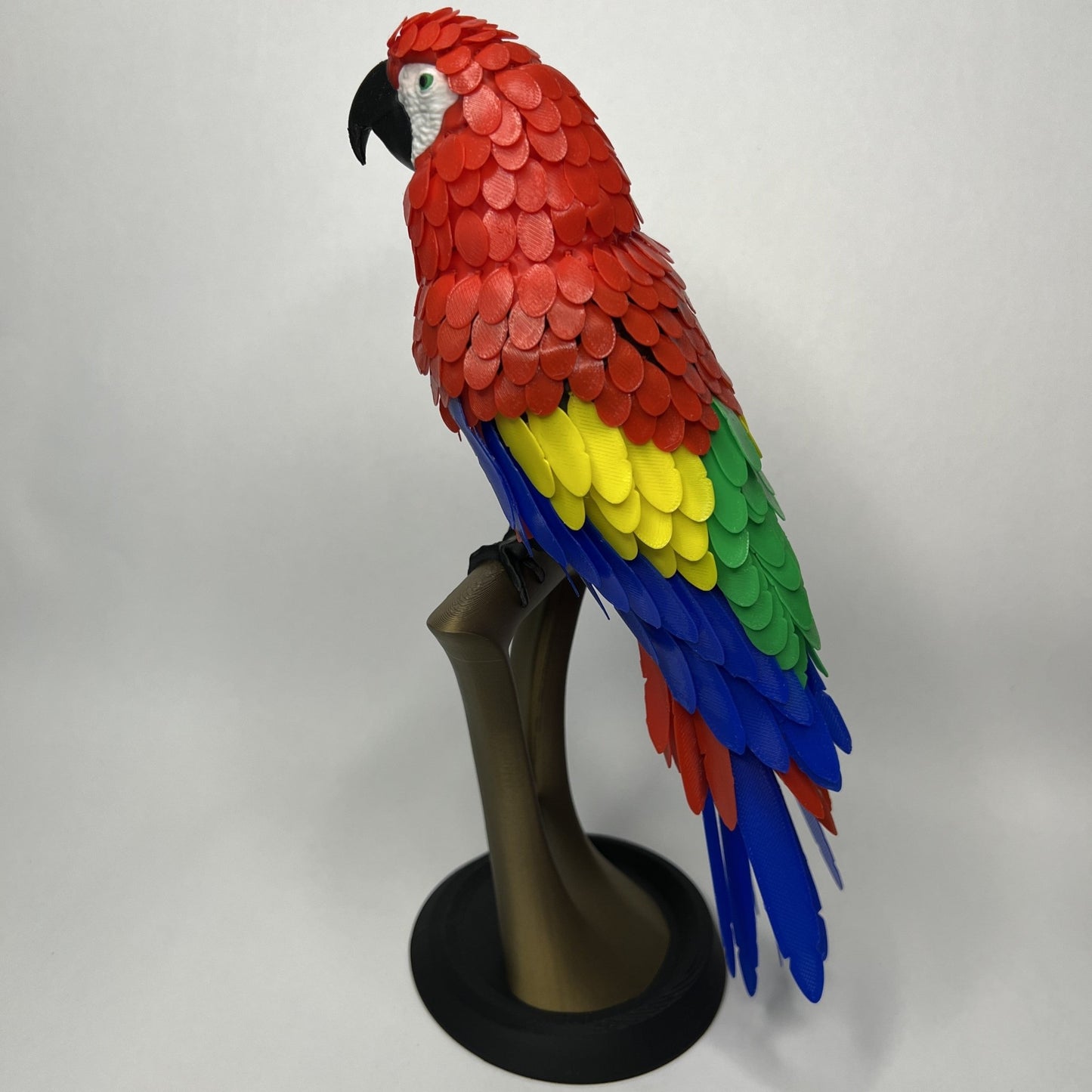 Papagei - PrintMa
